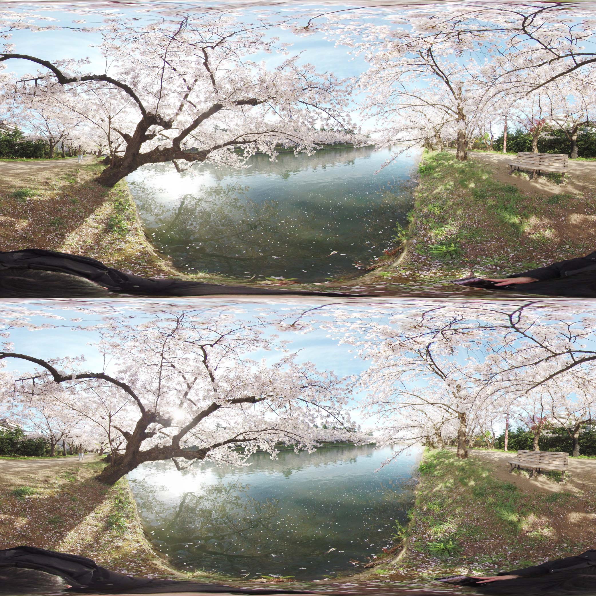 360°3Dコンテンツ